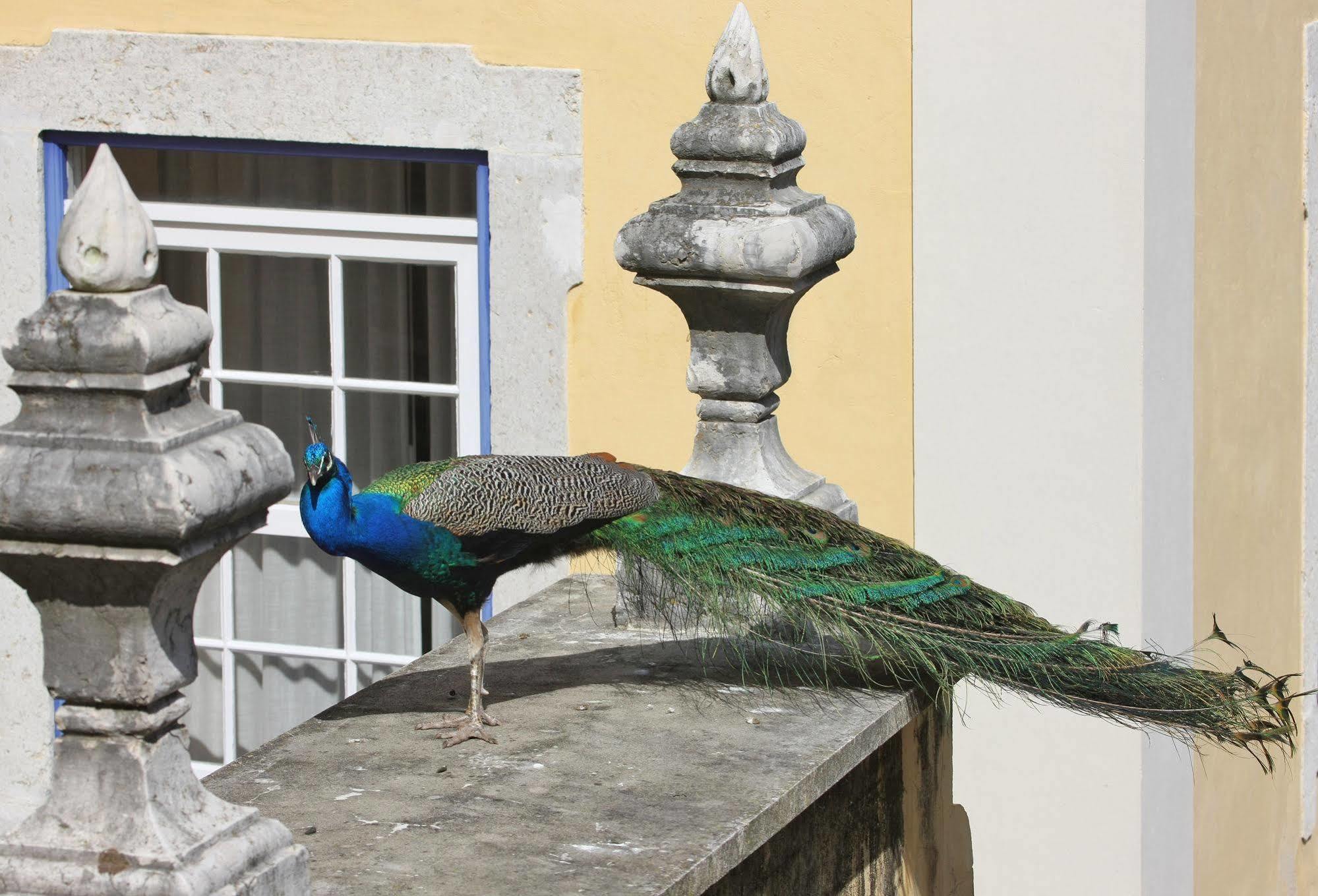 Solar Do Castelo - Lisbon Heritage Collection - Alfama 外观 照片